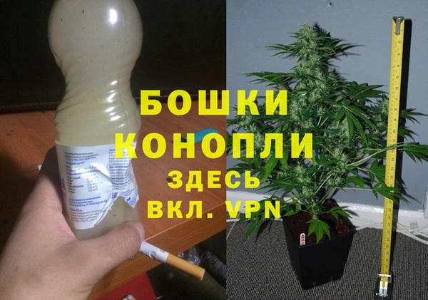 соль ск Медвежьегорск
