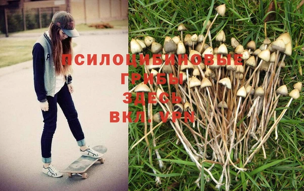 кокаин премиум Заволжск