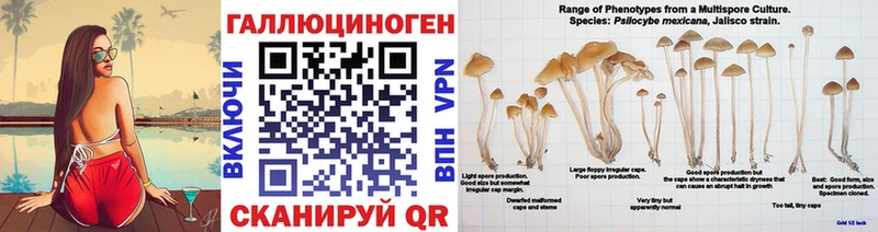 Галлюциногенные грибы ЛСД  Зеленоградск 